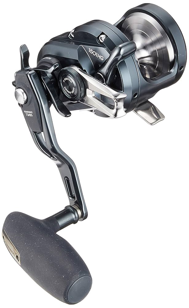 SHIMANO - OCEA JIGGER F custom 1501 HG : Amazon.es: Deportes